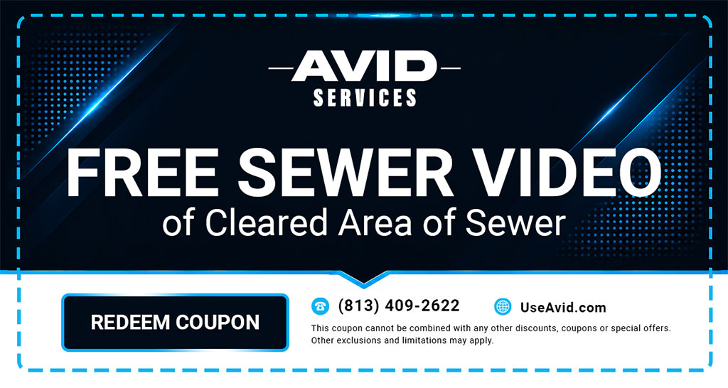 sewer-video